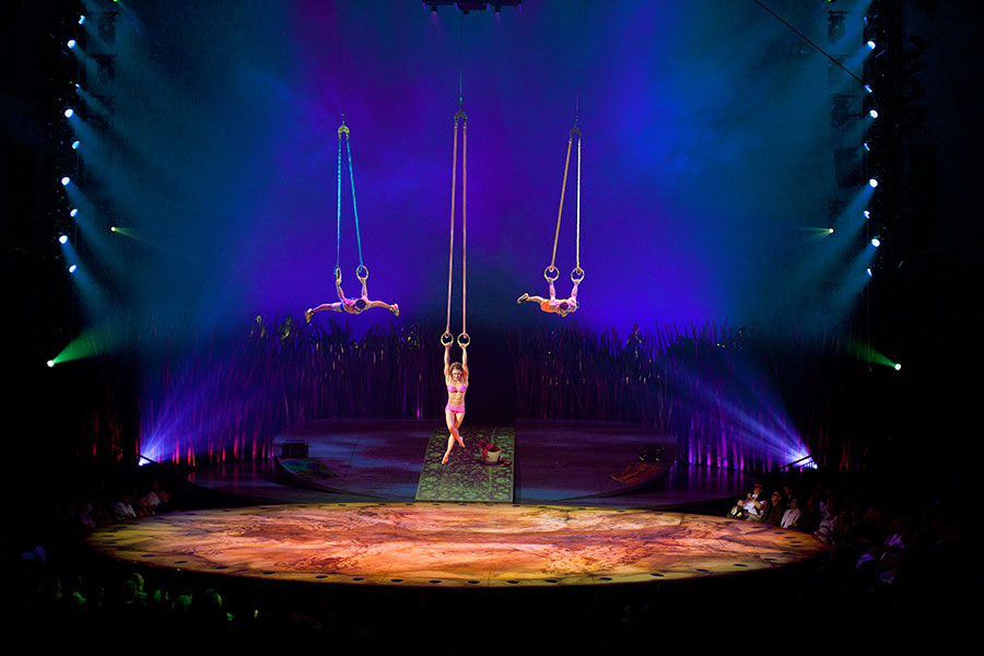 Cirque_du_Soleil_Totem_lokalfuehrer.wien